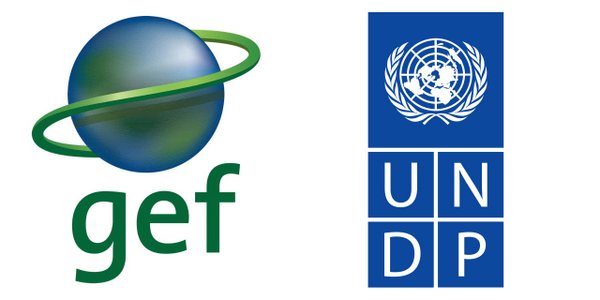 UNDP