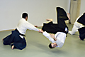 Aikido throw :: © 2009